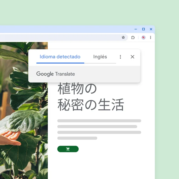 Un sitio web que muestra plantas y un texto traducido que dice “The secret life of plants”